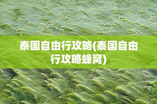 泰国自由行攻略(泰国自由行攻略蜂窝)
