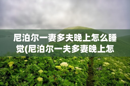 尼泊尔一妻多夫晚上怎么睡觉(尼泊尔一夫多妻晚上怎么办)