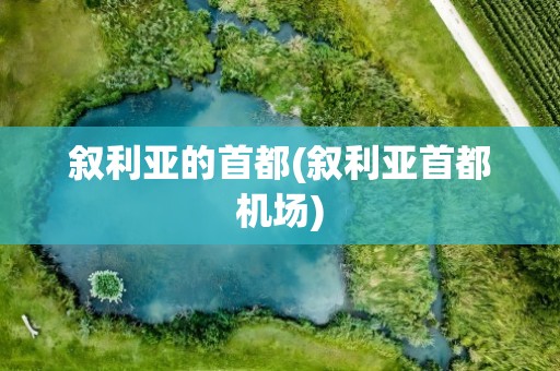 叙利亚的首都(叙利亚首都机场)