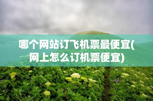 哪个网站订飞机票最便宜(网上怎么订机票便宜)
