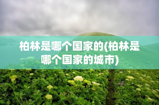 柏林是哪个国家的(柏林是哪个国家的城市)