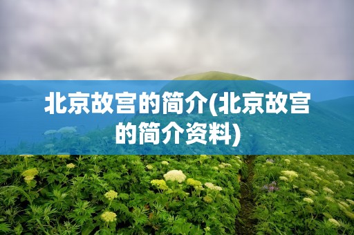 北京故宫的简介(北京故宫的简介资料)