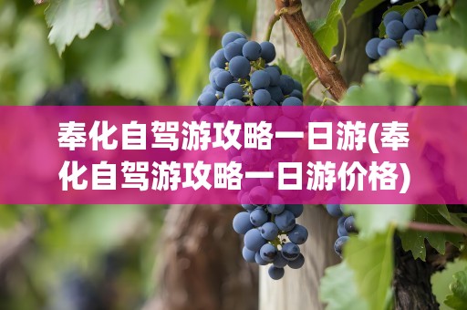 奉化自驾游攻略一日游(奉化自驾游攻略一日游价格)