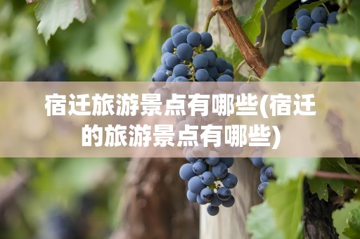 宿迁旅游景点有哪些(宿迁的旅游景点有哪些)