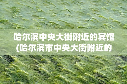 哈尔滨中央大街附近的宾馆(哈尔滨市中央大街附近的宾馆)