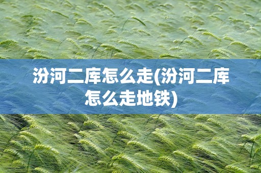 汾河二库怎么走(汾河二库怎么走地铁)