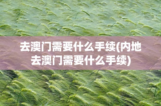 去澳门需要什么手续(内地去澳门需要什么手续)