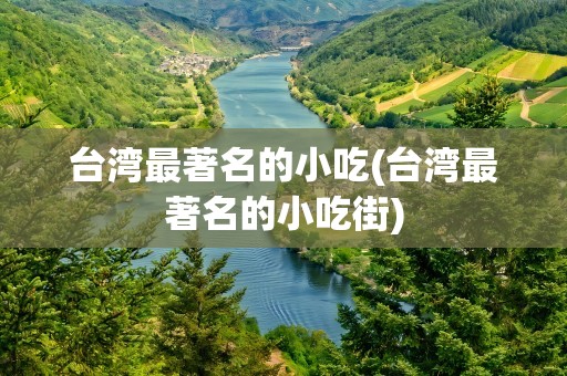 台湾最著名的小吃(台湾最著名的小吃街)