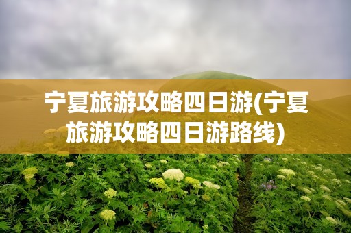 宁夏旅游攻略四日游(宁夏旅游攻略四日游路线)