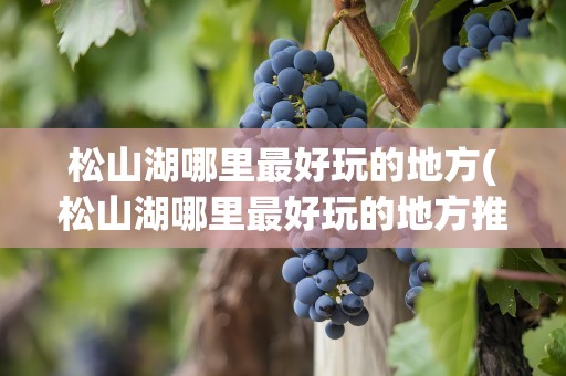 松山湖哪里最好玩的地方(松山湖哪里最好玩的地方推荐)
