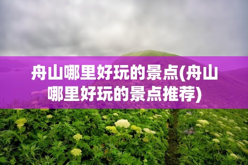 舟山哪里好玩的景点(舟山哪里好玩的景点推荐)
