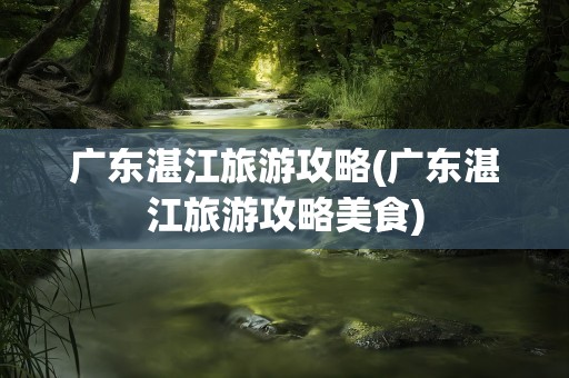 广东湛江旅游攻略(广东湛江旅游攻略美食)