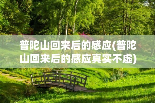 普陀山回来后的感应(普陀山回来后的感应真实不虚)