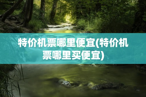 特价机票哪里便宜(特价机票哪里买便宜)