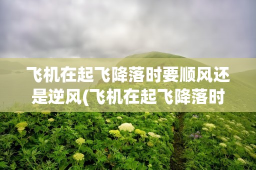 飞机在起飞降落时要顺风还是逆风(飞机在起飞降落时要顺风还是逆风呢)