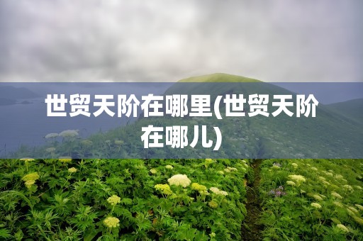 世贸天阶在哪里(世贸天阶在哪儿)