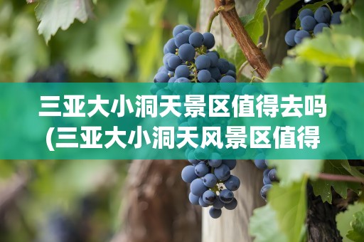 三亚大小洞天景区值得去吗(三亚大小洞天风景区值得去吗)