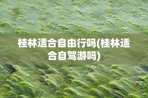 桂林适合自由行吗(桂林适合自驾游吗)