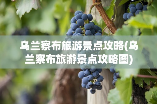 乌兰察布旅游景点攻略(乌兰察布旅游景点攻略图)