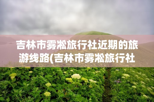 吉林市雾凇旅行社近期的旅游线路(吉林市雾凇旅行社近期的旅游线路图)