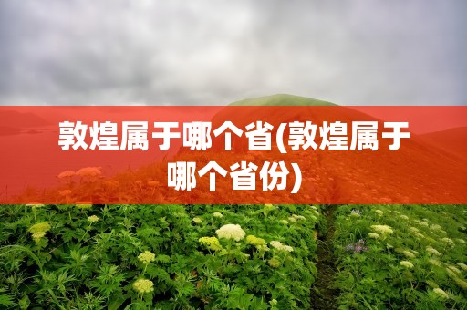 敦煌属于哪个省(敦煌属于哪个省份)