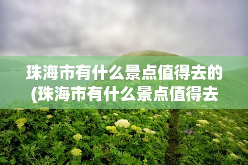 珠海市有什么景点值得去的(珠海市有什么景点值得去的地方)