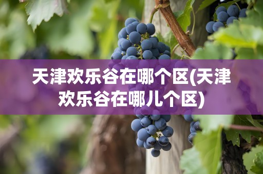 天津欢乐谷在哪个区(天津欢乐谷在哪儿个区)