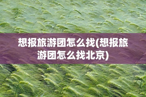 想报旅游团怎么找(想报旅游团怎么找北京)