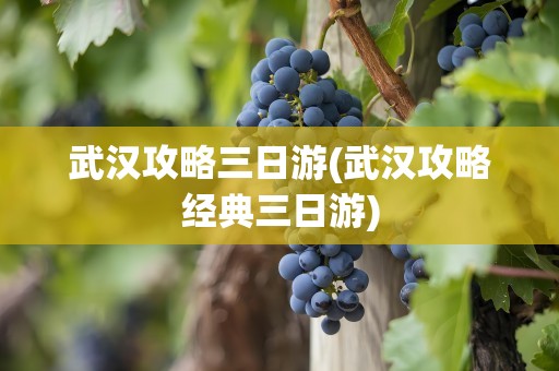 武汉攻略三日游(武汉攻略经典三日游)