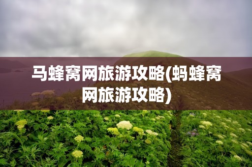 马蜂窝网旅游攻略(蚂蜂窝网旅游攻略)