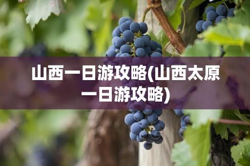 山西一日游攻略(山西太原一日游攻略)