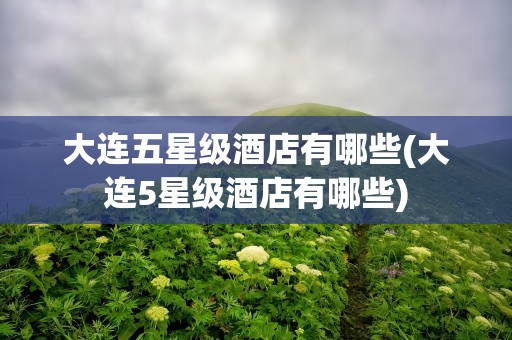 大连五星级酒店有哪些(大连5星级酒店有哪些)