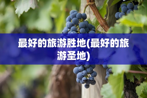 最好的旅游胜地(最好的旅游圣地)