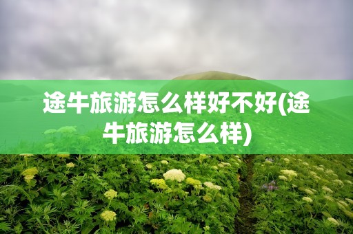 途牛旅游怎么样好不好(途牛旅游怎么样)