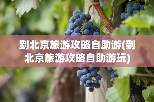 到北京旅游攻略自助游(到北京旅游攻略自助游玩)
