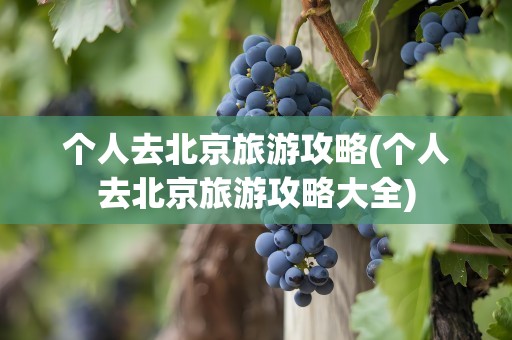 个人去北京旅游攻略(个人去北京旅游攻略大全)