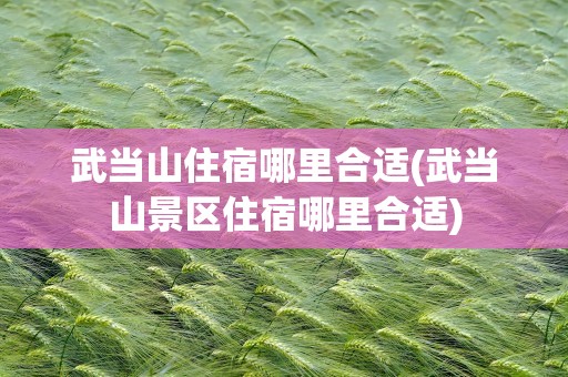 武当山住宿哪里合适(武当山景区住宿哪里合适)