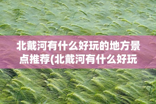 北戴河有什么好玩的地方景点推荐(北戴河有什么好玩的地方景点推荐自驾)
