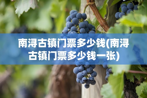 南浔古镇门票多少钱(南浔古镇门票多少钱一张)