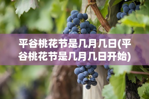 平谷桃花节是几月几日(平谷桃花节是几月几日开始)