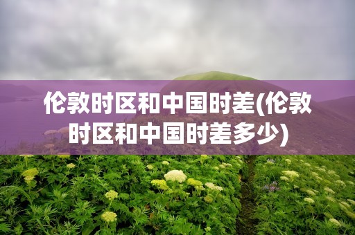 伦敦时区和中国时差(伦敦时区和中国时差多少)