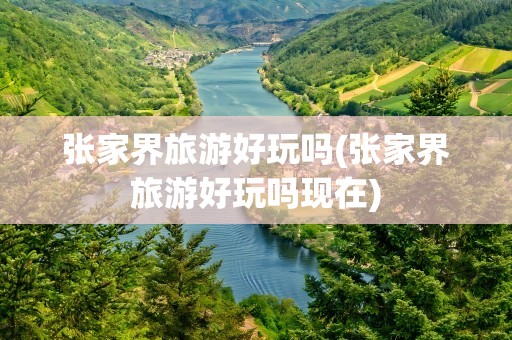 张家界旅游好玩吗(张家界旅游好玩吗现在)