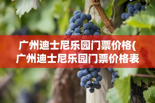 广州迪士尼乐园门票价格(广州迪士尼乐园门票价格表)