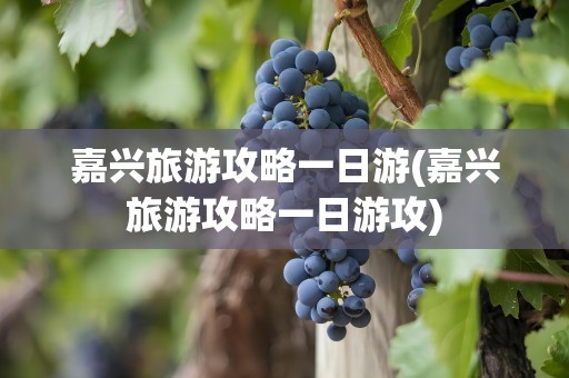嘉兴旅游攻略一日游(嘉兴旅游攻略一日游攻)