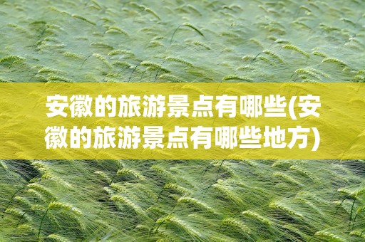 安徽的旅游景点有哪些(安徽的旅游景点有哪些地方)