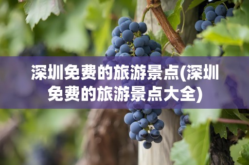 深圳免费的旅游景点(深圳免费的旅游景点大全)