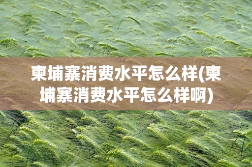 柬埔寨消费水平怎么样(柬埔寨消费水平怎么样啊)