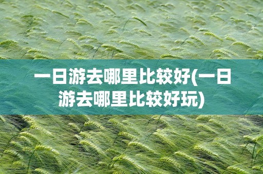 一日游去哪里比较好(一日游去哪里比较好玩)