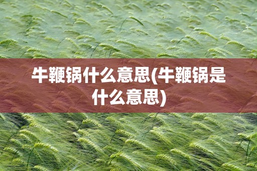 牛鞭锅什么意思(牛鞭锅是什么意思)