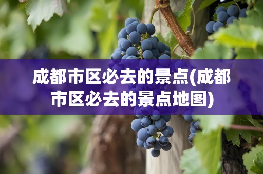 成都市区必去的景点(成都市区必去的景点地图)